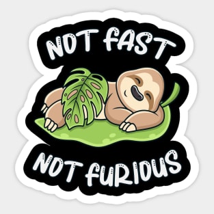 Cute Sloth Sleeping Not Fast Not Furious Funny Sticker